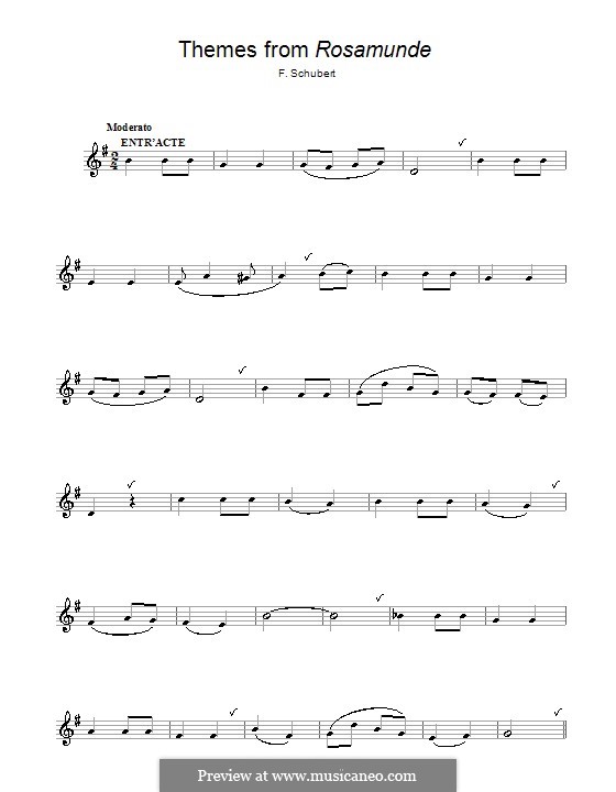 Overture: For flute by Franz Schubert