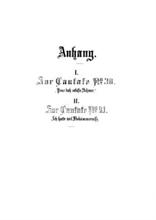 Supplements to Cantatas No.30, 21, BWV 21, 30: Supplements to Cantatas No.30, 21 by Johann Sebastian Bach