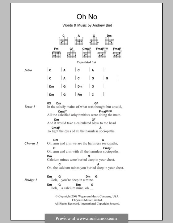 Oh No: Lyrics and chords by Andrew Bird