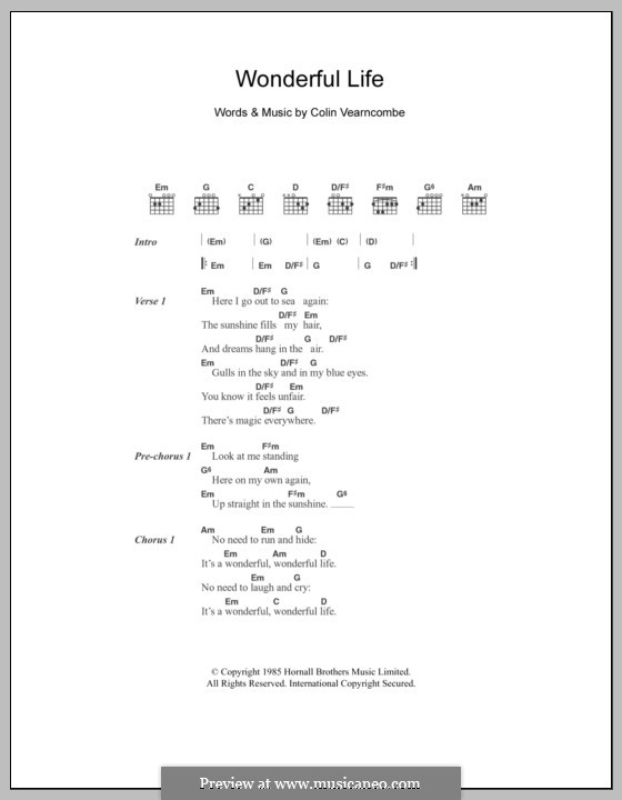 Wonderful Life (Black): Lyrics and chords by Colin Vearncombe