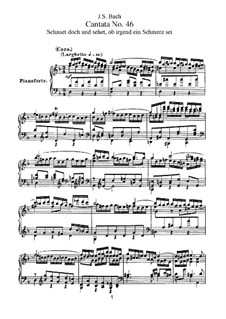 Schauet doch und sehet, ob irgend ein Schmerz sei, BWV 46: Piano-vocal score by Johann Sebastian Bach