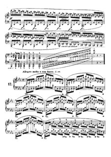 No.12 in C Minor: For piano by Frédéric Chopin