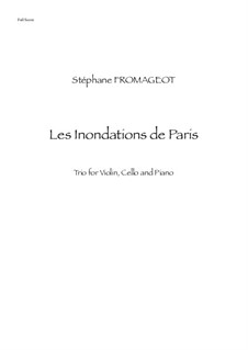 Les inondations de Paris: Les inondations de Paris by Stéphane Fromageot