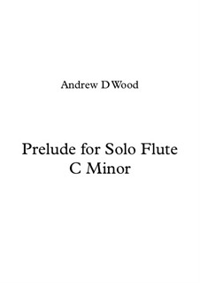 Prelude for Solo Flute in C Minor: Prelude for Solo Flute in C Minor by Andrew Wood