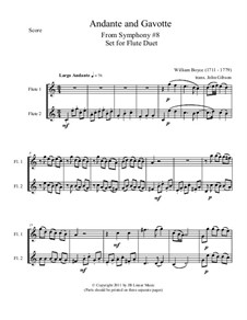 Andante and Gavotte for Flute Duet: Andante and Gavotte for Flute Duet by William Boyce