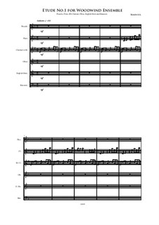 Etude No.1 for Woodwinds: Etude No.1 for Woodwinds by Irminsul Harp