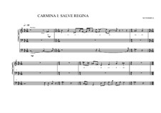 Work for Organ No.1 'Salve regina', MVWV 294: Work for Organ No.1 'Salve regina' by Maurice Verheul