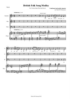 Llwyn Onn: Arranged for SAB choir and piano (or keyboard with harp sound) by folklore