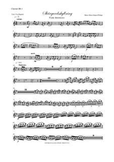 Skargardsshyllning: Clarinet I, II parts by Hans-Jürgen Philipp