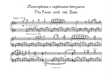 Ghost from the Viennese Forest - 6 comments for piano: The Trout with red Boots by Peter Petrof