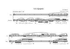 Duo No.14 for Mandolin and Flute, MVWV 218: Duo No.14 for Mandolin and Flute by Maurice Verheul