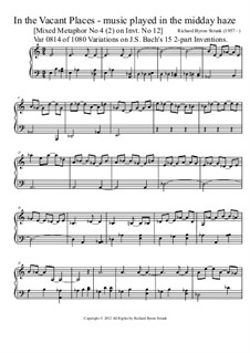 Book IV: No.8 Music played in the midday haze, V.0814 by Richard Byron Strunk
