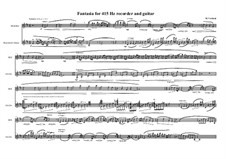 Duo No.16 Fantasia for Recorder (415 Hz) and Guitar: Duo No.16 Fantasia for Recorder (415 Hz) and Guitar by Maurice Verheul