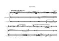 Trio No.9 for Flute, Guitar and Violin, MVWV 404: Trio No.9 for Flute, Guitar and Violin by Maurice Verheul