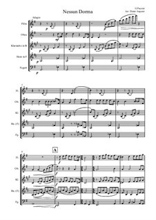 Turandot: Nessun dorma, for wind quintet by Giacomo Puccini
