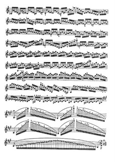 Complete set: For violin by Niccolò Paganini