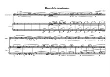 Duo No.17 for Clarinet in Bb and Piano, MVWV 604: Duo No.17 for Clarinet in Bb and Piano by Maurice Verheul