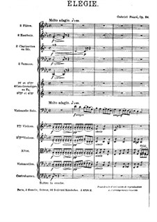 Elegy, Op.24: For cello and orchestra by Gabriel Fauré
