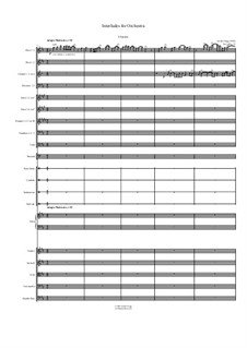 Interludes for Orchestra: Interludes for Orchestra by Jordan Grigg