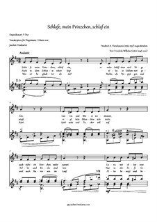 Schlafe, mein Prinzchen, schlaf ein: Partitur für zwei Interpreten by Friedrich Fleischmann