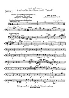 Complete Symphony: Timpani part by Ludwig van Beethoven