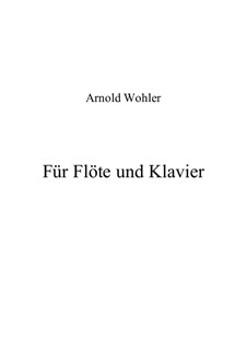 Für Flöte und Klavier: Für Flöte und Klavier by Arnold Wohler