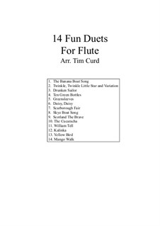 14 Fun Duets: For two flutes by folklore