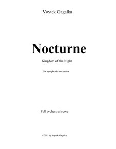 Nocturne: Nocturne by Voytek Gagalka