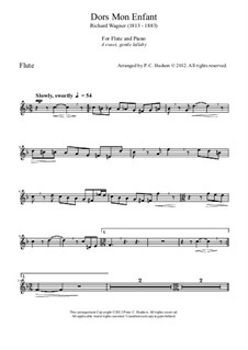 Dors, mon enfant (Sleep, My Child), WWV 53: For flute and piano by Richard Wagner