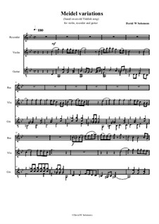 Variations on Ikh bin e meidel in di joren for recorder violin and guitar: Variations on Ikh bin e meidel in di joren for recorder violin and guitar by folklore, David W Solomons