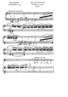 Die drei Zigeuner, S.320: Russischer und deutscher Texte by Franz Liszt