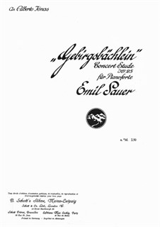 Concert Etudes: No.25 Le Ruisselet de la Montagne by Emil von Sauer