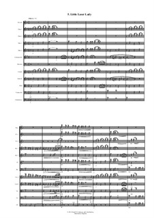 Sweet 4 Chamber Orchestra: 5. Little Laser Lady by David W Solomons