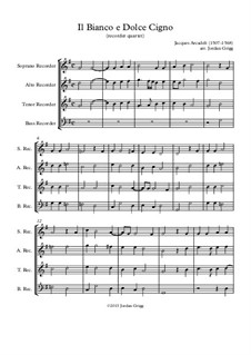 Il bianco e dolce cigno: For recorder quartet by Jacques Arcadelt