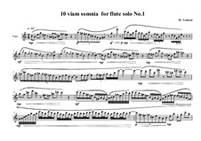 10 viam somnia for flute solo: No.1, MVWV 520 by Maurice Verheul