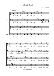 Silent Gnat: For mixed choir by David W Solomons