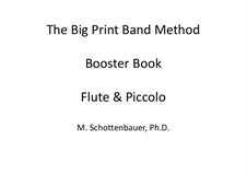 Booster Book: Flute piccolo and flute by Michele Schottenbauer