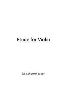 Etude for Violin: Etude for Violin by Michele Schottenbauer