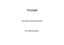 Triumph: Triumph by Michele Schottenbauer