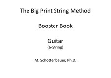 Booster Book: Guitar by Michele Schottenbauer