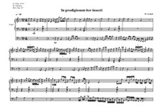 Work for Organ No.10 'In prodigiosum iter insecti', MVWV 326: Work for Organ No.10 'In prodigiosum iter insecti' by Maurice Verheul