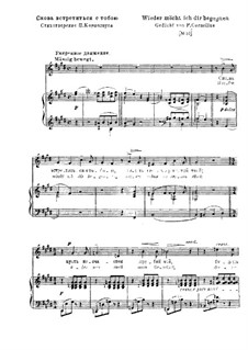 Wieder möcht ich dir begegnen, S.322: Russischer und deutscher Texte by Franz Liszt