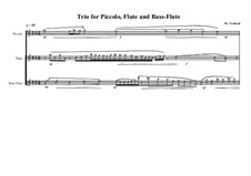 Trio No.13 for Piccolo, Flute and Bass Flute, MVWV 494: Trio No.13 for Piccolo, Flute and Bass Flute by Maurice Verheul