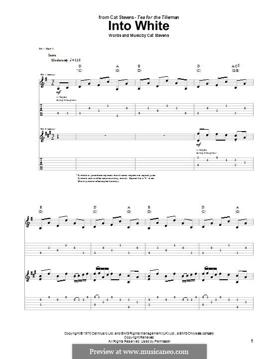 Into White: For guitar with tab by Cat Stevens