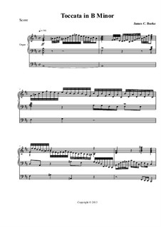 Toccata in B Minor: Toccata in B Minor by James Burke