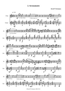 Times of change: Serenamente, for flute and guitar by David W Solomons