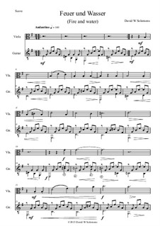 Feuer und Wasser: For viola and guitar by David W Solomons