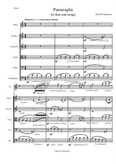 Passacaglia: For flute and strings by David W Solomons