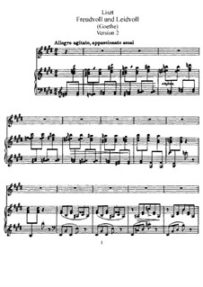 Freudvoll und leidvoll, S.280: Version II by Franz Liszt
