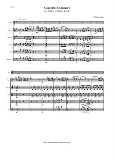 Concerto for Flute and String Orchestra in E Minor: Concerto for Flute and String Orchestra in E Minor by Saverio Mercadante